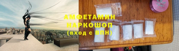 спиды Вяземский