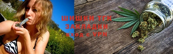 спиды Горняк