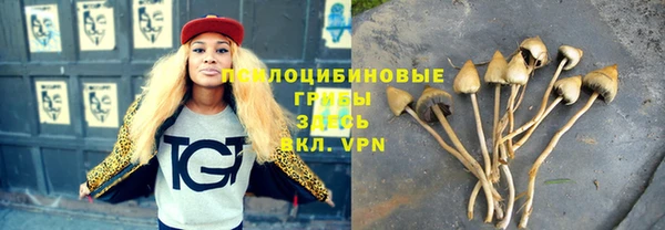 спиды Вяземский