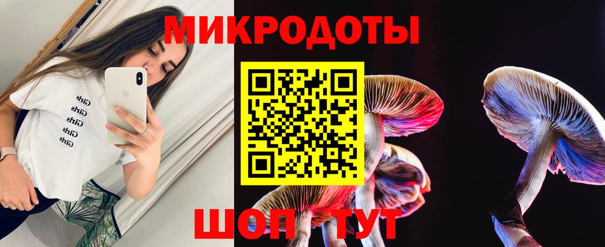Псилоцибиновые грибы Magic Shrooms  Моршанск 